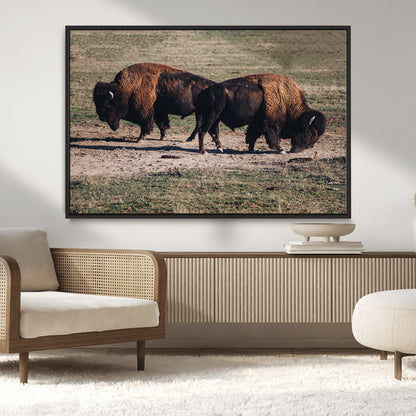 58141885-MGV-CV-36X24-Bison Photography Wall Art Canvas Print, Framed Western Wildlife Art Picture Print, Modern Ranch Perfect Western Rustic Decor
