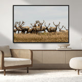 42170220-MGV-CV-36X24-Elk Herd Wall Art Canvas Print, Framed Wildlife Photography Art Picture Print, Majestic Antlers Perfect Rustic Wildlife Decor