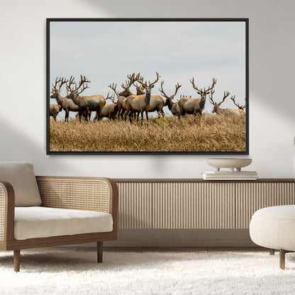 42170220-MGV-CV-36X24-Elk Herd Wall Art Canvas Print, Framed Wildlife Photography Art Picture Print, Majestic Antlers Perfect Rustic Wildlife Decor