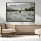 41674074-MGV-CV-36X24-Bison Wall Art – American Buffalo Wildlife Photography Canvas Print, Western Mountain Landscape Artwork Rustic Nature Decor for