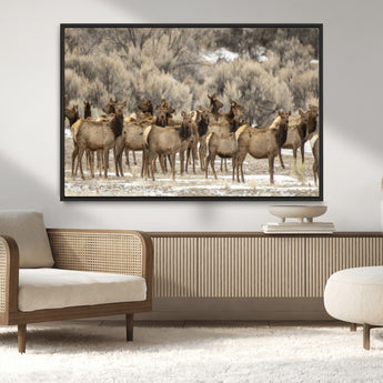 93076148-MGV-CV-36X24-Elk Herd Wall Art – Wildlife Canvas Print of Elk in Winter Landscape, Rustic Western Cabin & Lodge Décor, Nature Photography for