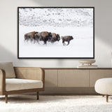 61161423-MGV-CV-36X24-Running Bison Herd Wall Art – Winter Buffalo Canvas Print, Wildlife Photography Decor for Rustic Living Room, Farmhouse, Lodge,