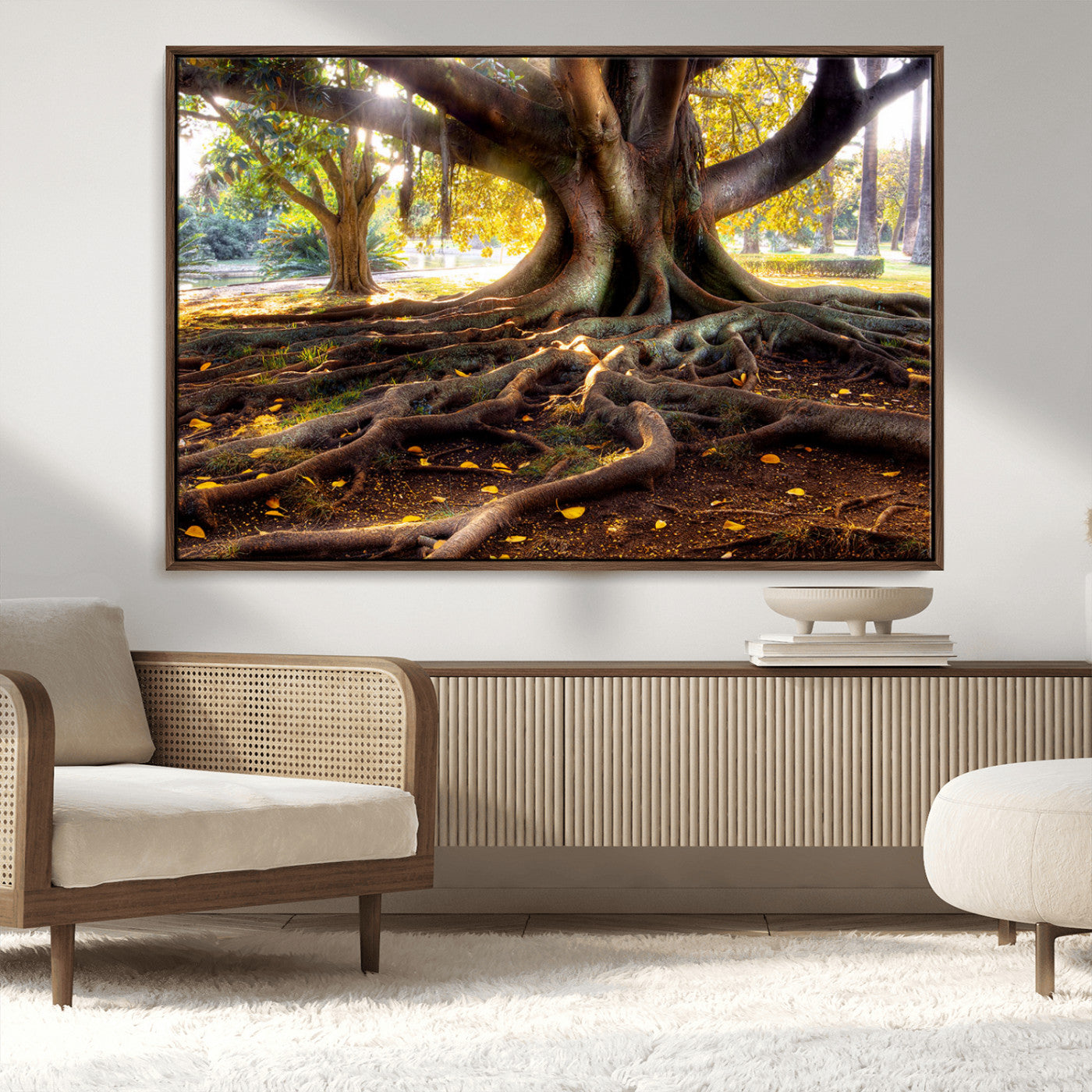 53335-MGV-CV-36X24-Majestic Tree with Sprawling Roots Wall Art – Serene Sunlit Park Scene, Nature Canvas Print, Perfect for Living Room, Office or