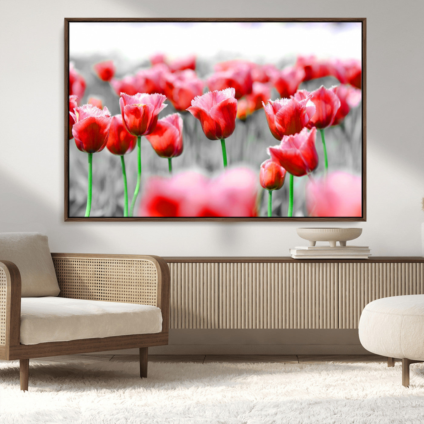 44554-MGV-CV-36X24-Vibrant red tulips stand out beautifully against a black-and-white background, making a striking decor piece perfect for any home