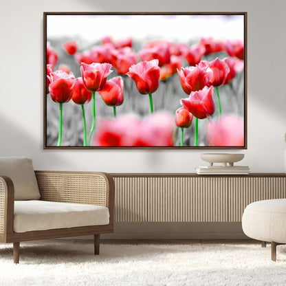 44554-MGV-CV-36X24-Vibrant red tulips stand out beautifully against a black-and-white background, making a striking decor piece perfect for any home