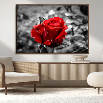 84671-MGV-CV-36X24-Red Rose Wall Art – Vibrant Single Bloom Canvas Print with Black and White Background, Elegant Floral Decor for Living Room,