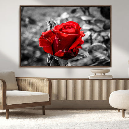 84671-MGV-CV-36X24-Red Rose Wall Art – Vibrant Single Bloom Canvas Print with Black and White Background, Elegant Floral Decor for Living Room,