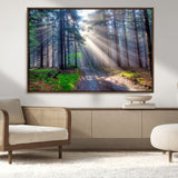 42047-MGV-CV-36X24-Sunlit Forest Path Wall Art – Nature Canvas Print, Serene Woodland Landscape, Perfect Home & Office Decor for Calm and Tranquil
