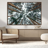 18790-MGV-CV-36X24-Pine Canopy Wall Art – Panoramic View of Towering Pines Canvas Print, Nature-Inspired Decor for Office, Cabin or Living Room