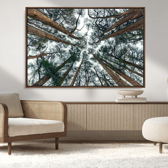 18790-MGV-CV-36X24-Pine Canopy Wall Art – Panoramic View of Towering Pines Canvas Print, Nature-Inspired Decor for Office, Cabin or Living Room