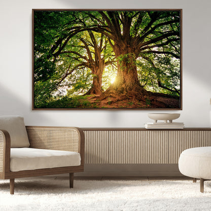 52150-MGV-CV-36X24-Majestic Tree Wall Art – Large Nature Canvas Print with Sunlight Through Branches, Rustic Forest Decor for Living Room, Bedroom or
