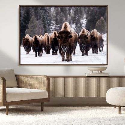 66871-MGV-CV-36X24-Bison Herd Wall Art – Wildlife Buffalo Canvas Print, Rustic Western Nature Photography Decor for Living Room, Office, Cabin, or