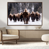 66871-MGV-CV-36X24-Bison Herd Wall Art – Wildlife Buffalo Canvas Print, Rustic Western Nature Photography Decor for Living Room, Office, Cabin, or