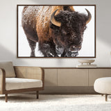 65605-MGV-CV-36X24-Snow Bison Wall Art – Close Up Buffalo Canvas Print, Rustic Western Wildlife Photography, Farmhouse Cabin Lodge Decor for Living