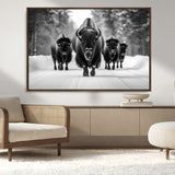 45287-MGV-CV-36X24-Bison Herd Wall Art – Black and White Buffalo Snow Road Canvas Print, Rustic Wildlife Decor for Cabin, Lodge or Living Room