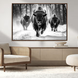 97552-MGV-CV-36X24-Black and White Bison Wall Art – Buffalo Herd Running in Snow Canvas Print, Rustic Wildlife Photography Decor for Cabin, Lodge, or
