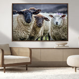 18418-MGV-CV-36X24-Sheep Wall Art Canvas Print, Framed Farmhouse Sheep Art Picture Print, Sheep Herd Perfect Rustic Farmhouse Decor Artwork