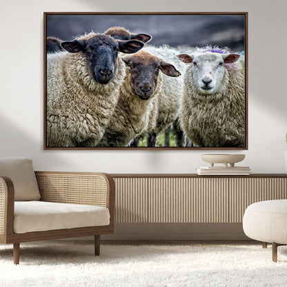 18418-MGV-CV-36X24-Sheep Wall Art Canvas Print, Framed Farmhouse Sheep Art Picture Print, Sheep Herd Perfect Rustic Farmhouse Decor Artwork