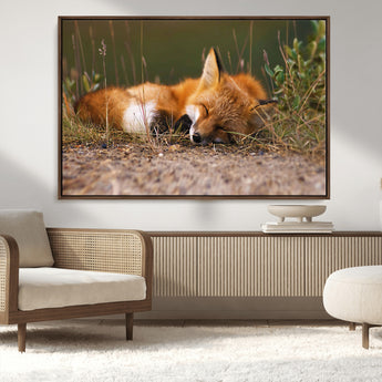 25085-MGV-CV-36X24-Sleeping Fox Wall Art Canvas Print, Framed Rustic Fox Art Picture Print, Wildlife Animal Perfect Rustic Farmhouse Decor Artwork