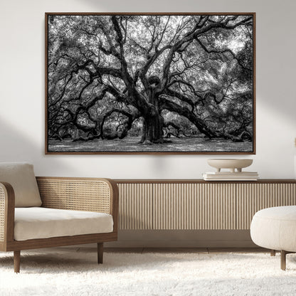 132944706-MGV-CV-36X24-Ancient Tree Wall Art – Black and White Photography Canvas Print Featuring Majestic Twisting Branches, Rustic Nature Artwork for