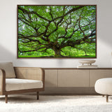 49375306-MGV-CV-36X24-Ancient Tree Wall Art Canvas Print, Framed Sprawling Branches Art Picture Print, Gnarling Tree Perfect Earthy Natural Decor