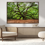 51255351-MGV-CV-36X24-Ancient Tree Wall Art – Majestic Oak Canvas Print, Large Nature Photography, Sacred Forest Landscape Wall Décor, Wisdom Tree
