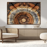 15184146-MGV-FC-36X24_Walnut-Tree Rings Wall Art Canvas Print, Framed Wood Texture Art Picture Print, Rustic Pattern Perfect Rustic Organic Decor Artwork