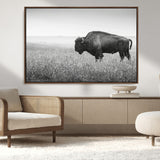 28435251-MGV-CV-36X24-Bison In Prairie Wall Art Canvas Print, Framed Rustic Wildlife Art Picture Print, Wild Buffalo Perfect Rustic Western Decor