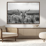 24051061-MGV-CV-36X24-Monochrome Highland Cow Wall Art Canvas Print, Framed Scottish Bull Art Picture Print, Lone Cattle Perfect Rustic Farmhouse Decor