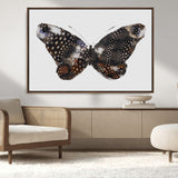 99831147-MGV-CV-36X24-Spotted Butterfly Wall Art Canvas Print, Framed Neutral Insect Theme Art Picture Print, Earthy Wing Pattern Perfect Modern Rustic
