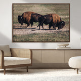 58141885-MGV-CV-36X24-Bison Photography Wall Art Canvas Print, Framed Western Wildlife Art Picture Print, Modern Ranch Perfect Western Rustic Decor