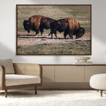 58141885-MGV-CV-36X24-Bison Photography Wall Art Canvas Print, Framed Western Wildlife Art Picture Print, Modern Ranch Perfect Western Rustic Decor
