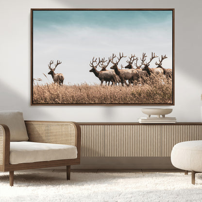 81594705-MGV-CV-36X24-Elk Herd Wall Art Canvas Print, Framed Wildlife Photography Art Picture Print, Rustic Nature Print Perfect Rustic Wildlife Decor