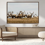 42170220-MGV-FC-36X24_Walnut-Elk Herd Wall Art Canvas Print, Framed Wildlife Photography Art Picture Print, Majestic Antlers Perfect Rustic Wildlife Decor