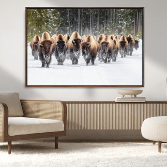 96906195-MGV-FC-36X24_Walnut-Bison Herd Wall Art – American Buffalo Wildlife Photography Canvas Print, Winter Snow Scene Western Nature Decor for Living Room,