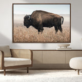 69909079-MGV-FC-36X24_Walnut-Bison Wall Art – Majestic Buffalo Canvas Print in Prairie Grasslands, Rustic Western Animal Painting, Farmhouse Ranch Decor for