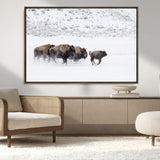 61161423-MGV-CV-36X24-Running Bison Herd Wall Art – Winter Buffalo Canvas Print, Wildlife Photography Decor for Rustic Living Room, Farmhouse, Lodge,