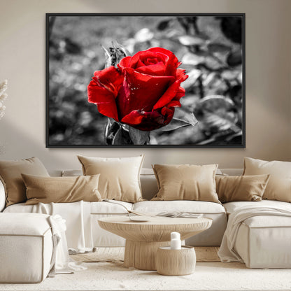 84671-MGV-CV-36X24-Red Rose Wall Art – Vibrant Single Bloom Canvas Print with Black and White Background, Elegant Floral Decor for Living Room,
