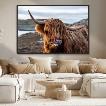 71222-MGV-CV-36X24-A playful Highland cow with shaggy fur sticks out its tongue, set against a rugged landscape — perfect for quirky home or office