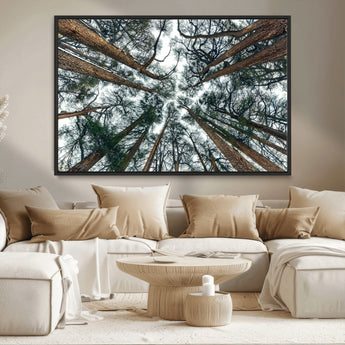18790-MGV-CV-36X24-Pine Canopy Wall Art – Panoramic View of Towering Pines Canvas Print, Nature-Inspired Decor for Office, Cabin or Living Room
