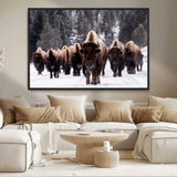66871-MGV-CV-36X24-Bison Herd Wall Art – Wildlife Buffalo Canvas Print, Rustic Western Nature Photography Decor for Living Room, Office, Cabin, or