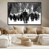62434-MGV-CV-36X24-Bison Herd Wall Art – Majestic Black and White Buffalo Canvas Print, Wildlife Nature Photography Decor for Living Room, Office or
