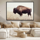 48406-MGV-CV-36X24-American Bison Wall Art – Rustic Buffalo Canvas Print in Prairie Field, Western Wildlife Photography Decor for Cabin, Lodge,