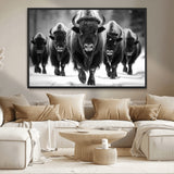 79872-MGV-CV-36X24-Bison Herd Wall Art – Black and White Buffalo on Snow Canvas Print, Rustic Wildlife Decor for Lodge, Cabin, or Living Room