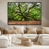 51255351-MGV-CV-36X24-Ancient Tree Wall Art – Majestic Oak Canvas Print, Large Nature Photography, Sacred Forest Landscape Wall Décor, Wisdom Tree