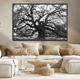 81655611-MGV-CV-36X24-Ancient Oak Wall Art Canvas Print, Framed Twisted Branches Art Picture Print, Gnarled Tree Perfect Moody Nature Decor Artwork