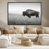 28435251-MGV-CV-36X24-Bison In Prairie Wall Art Canvas Print, Framed Rustic Wildlife Art Picture Print, Wild Buffalo Perfect Rustic Western Decor
