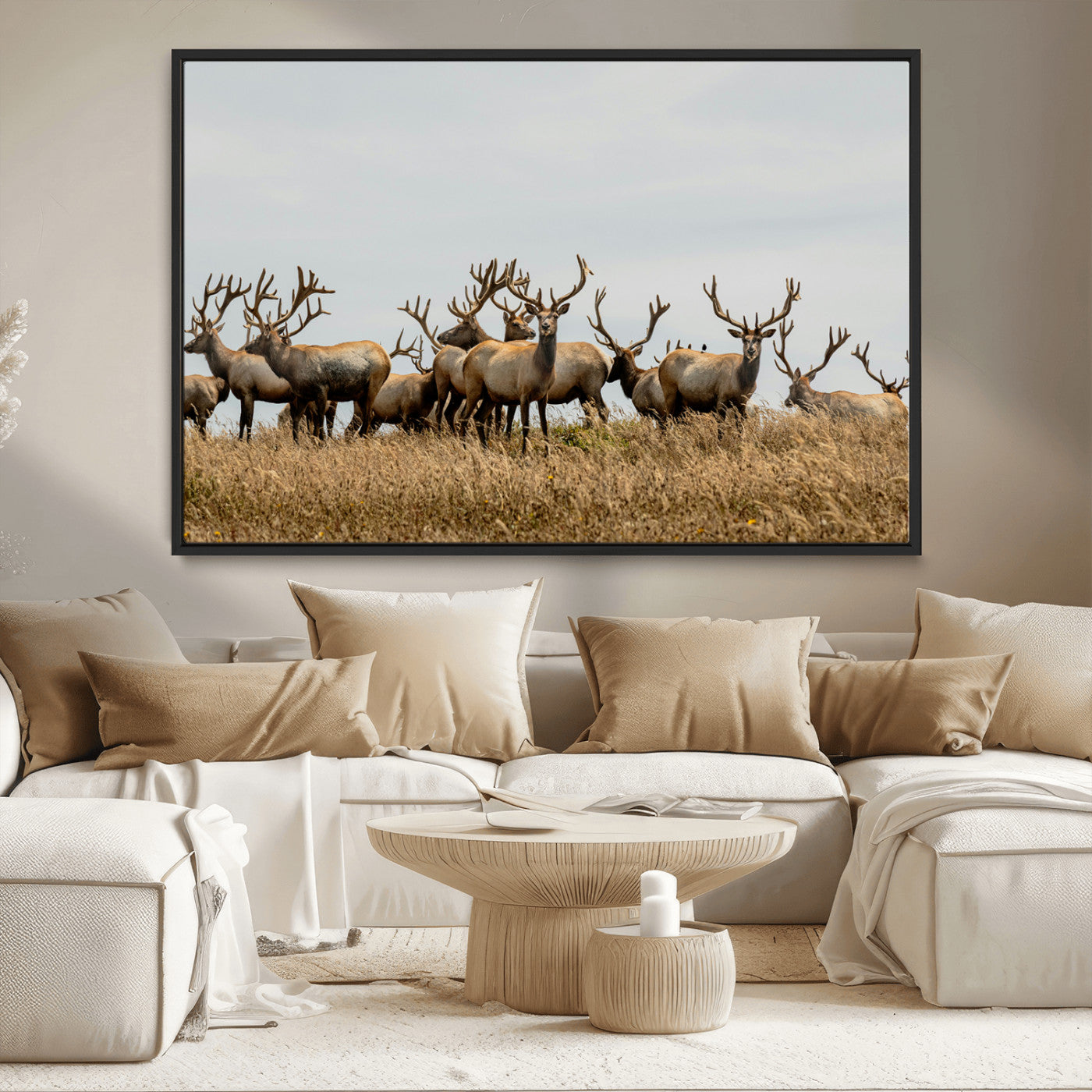 42170220-MGV-CV-36X24-Elk Herd Wall Art Canvas Print, Framed Wildlife Photography Art Picture Print, Majestic Antlers Perfect Rustic Wildlife Decor