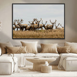 42170220-MGV-CV-36X24-Elk Herd Wall Art Canvas Print, Framed Wildlife Photography Art Picture Print, Majestic Antlers Perfect Rustic Wildlife Decor