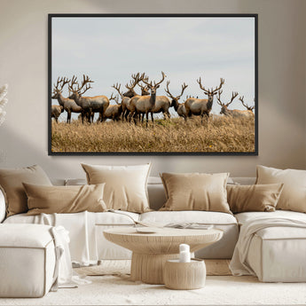 42170220-MGV-CV-36X24-Elk Herd Wall Art Canvas Print, Framed Wildlife Photography Art Picture Print, Majestic Antlers Perfect Rustic Wildlife Decor